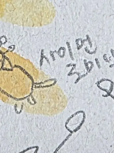 FickleEye9281의 どちら様ですか