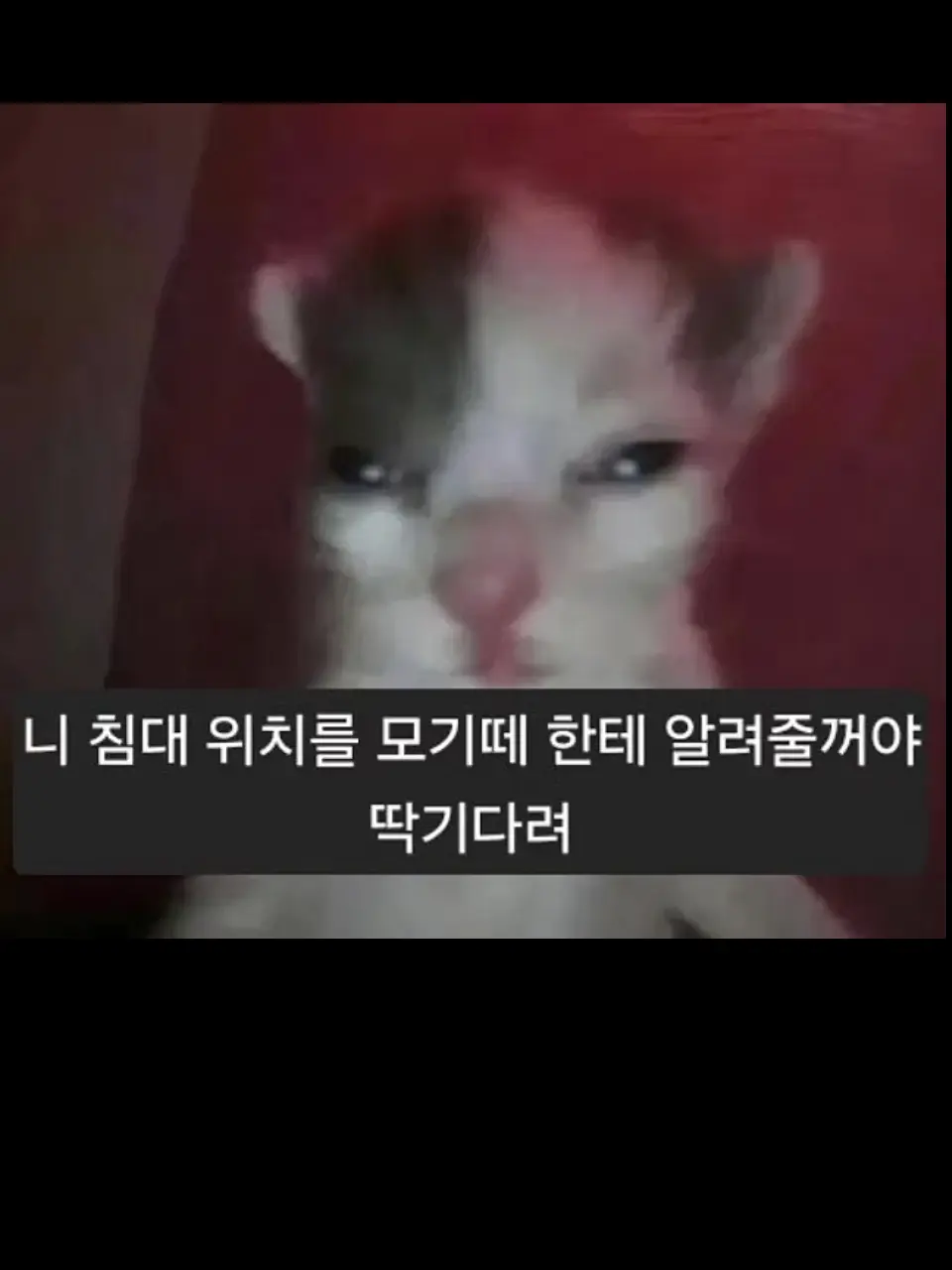 SalmonPound6471의 해리 후크