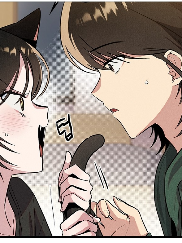 십이지소녀 대표 이미지