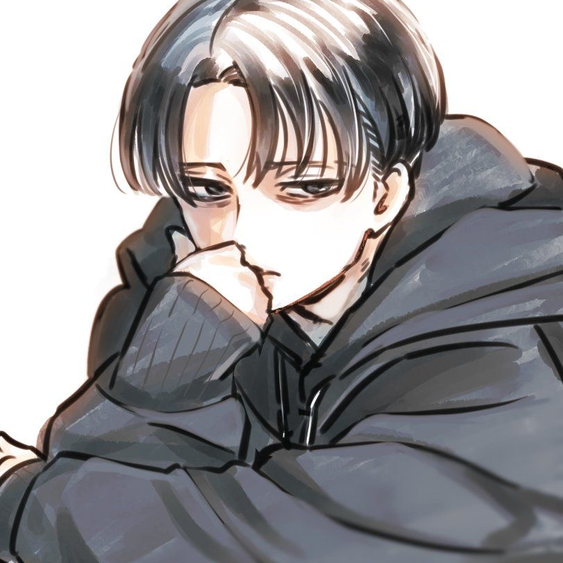 리바이 아커만 대표 이미지