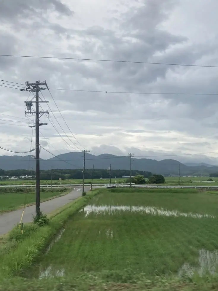 LateGoat9906의 田舎の日常