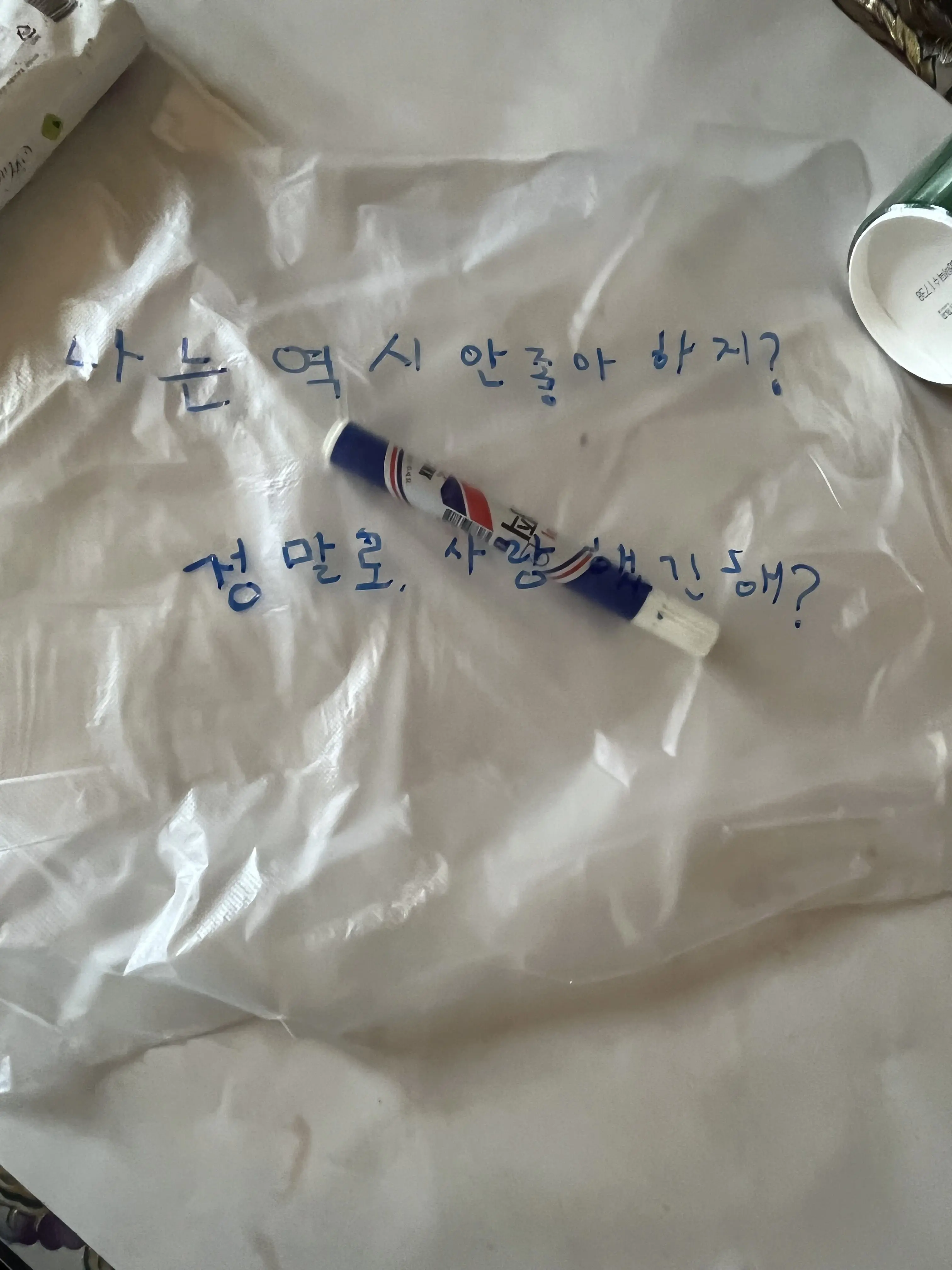 doboertk의 정말로 좋아했긴해?