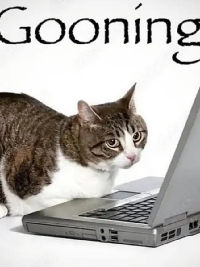 DipSONplotProductions의 No, I'm not a human(cat version)