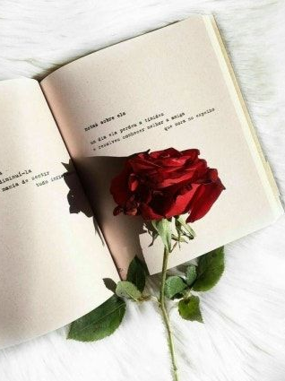보호비 대표 이미지