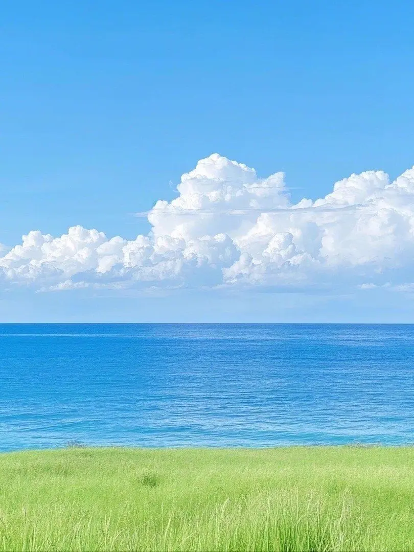 Xiao_xiao의 해찬 바라기!