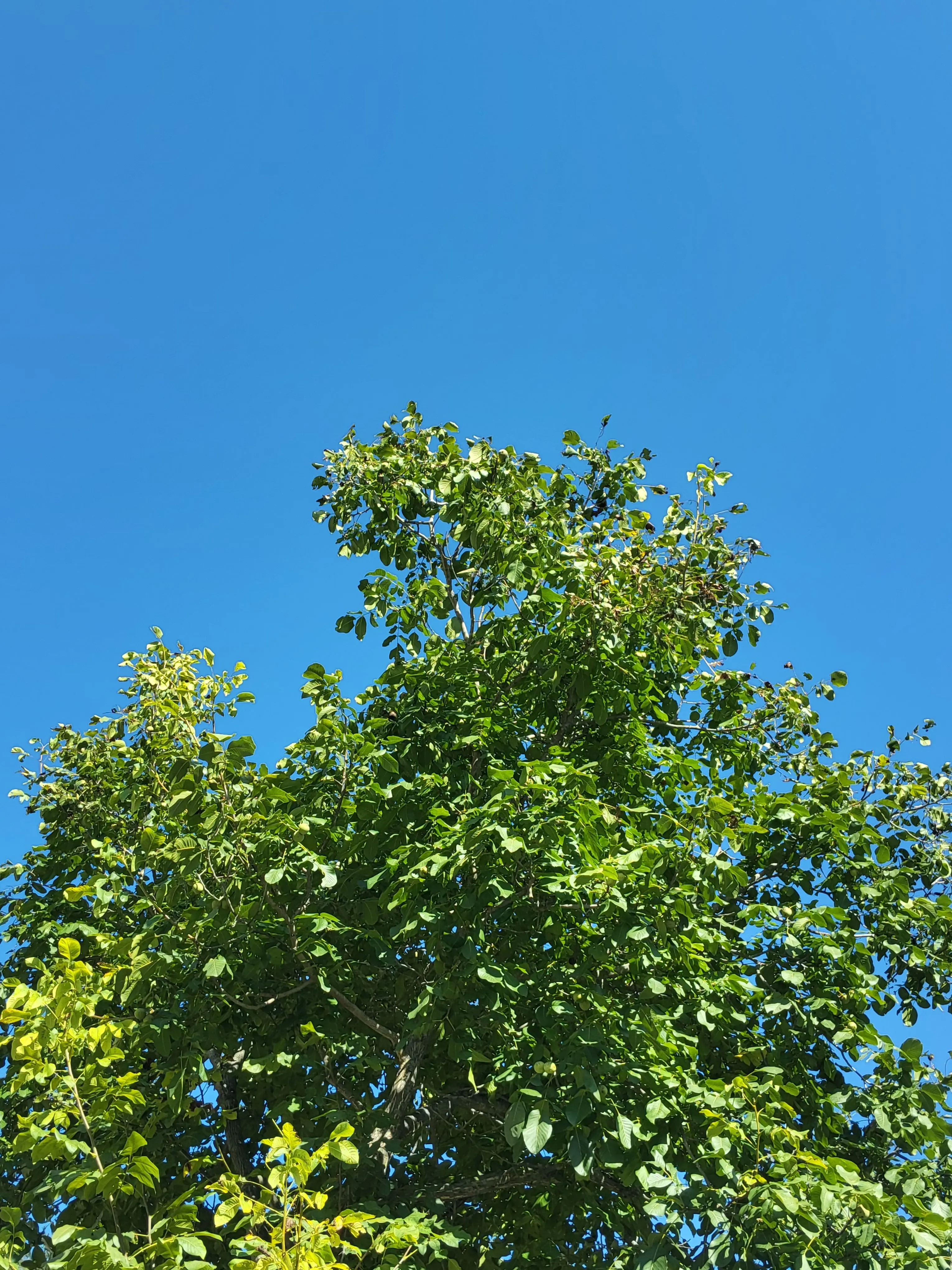 Ozzy의 연우의 순정- 정진우