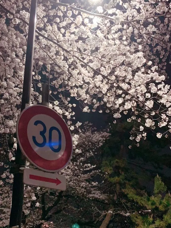 GreasySeed5966의 💔?