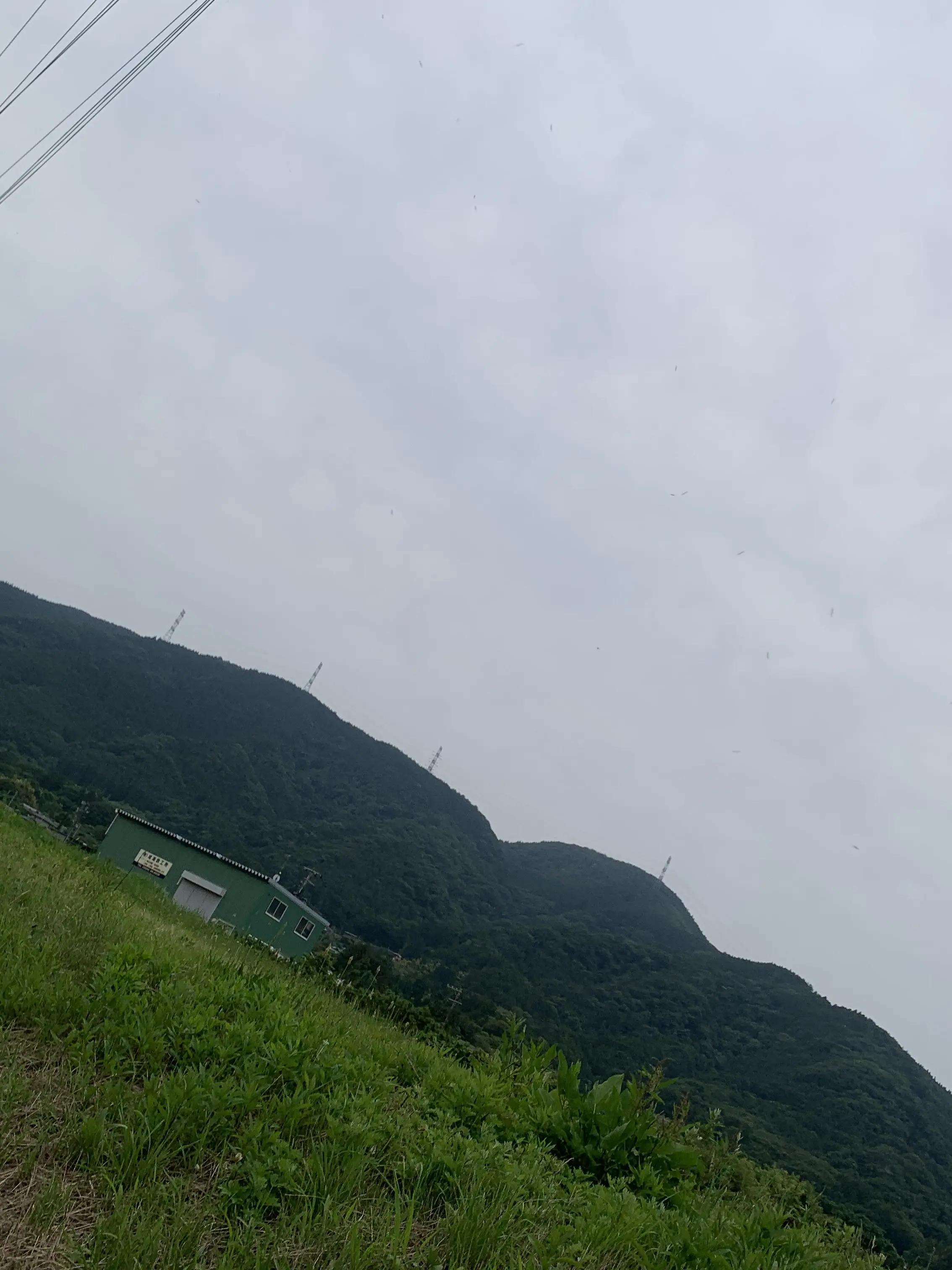 WittyRazor5293의 君に一目惚れ。