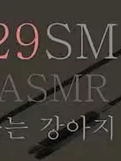 BoneBook9691의 백이도