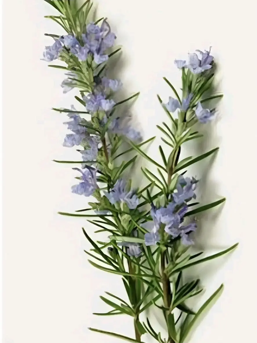 UpsetGems1257의 신비아파트