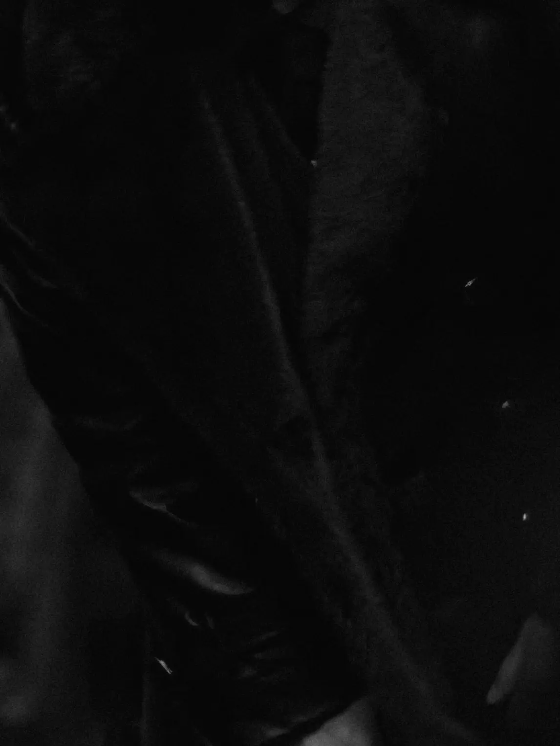 uoyrof_7의 황치성