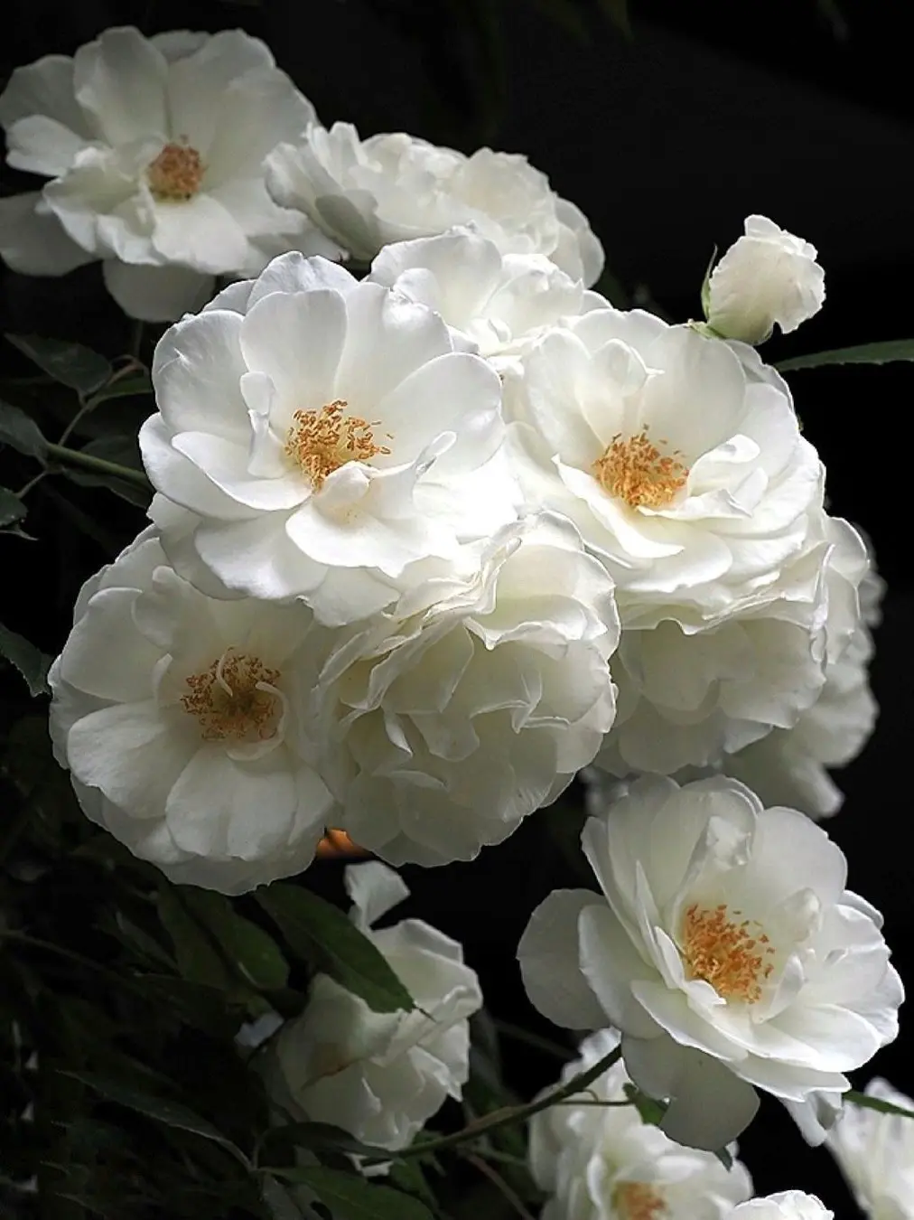 umsu1290의 “GET AWAY..”