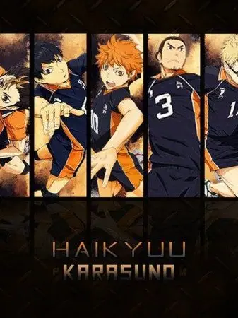 MaroonFly0170의 하이큐!! (여우포함)