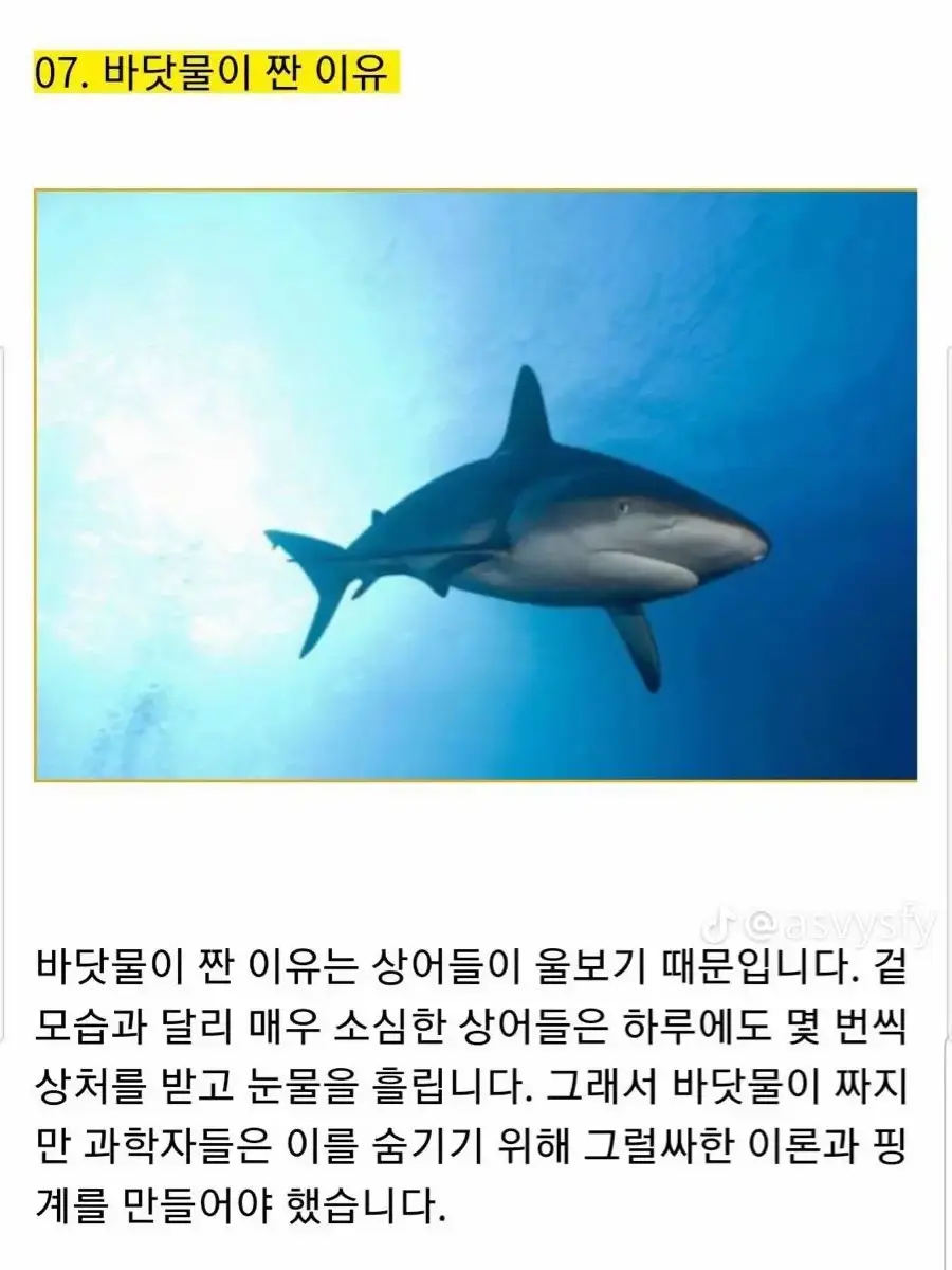nittong-gulgda123의 백연고 초능력학교AU
