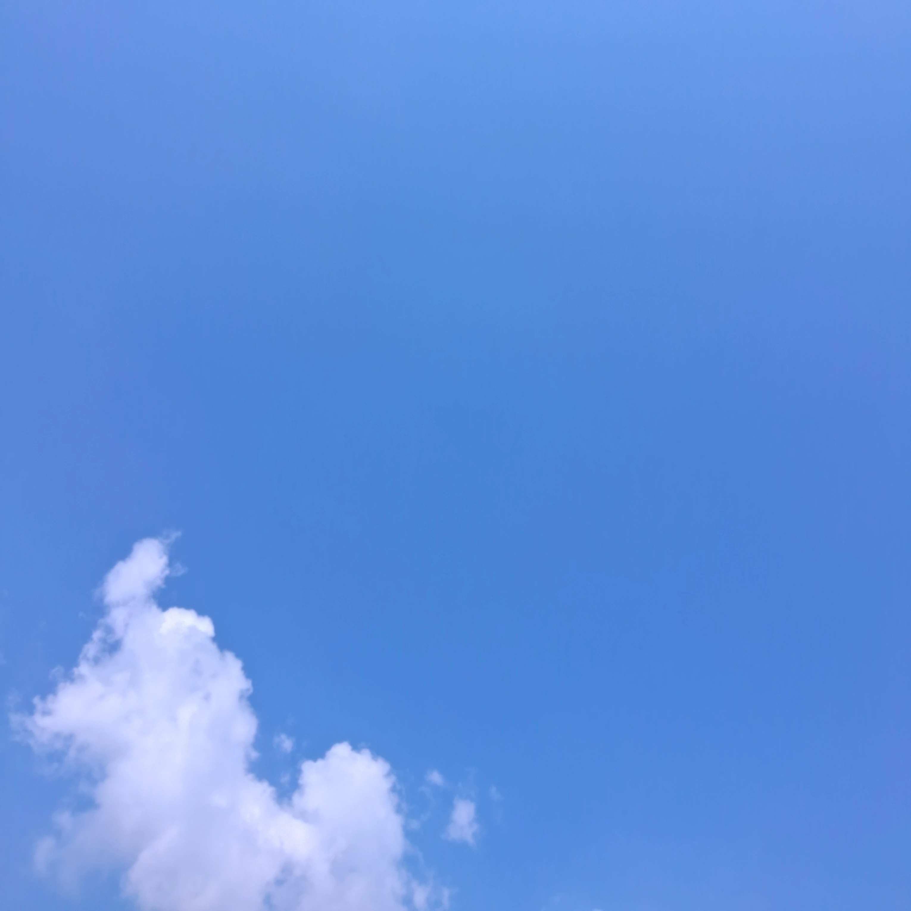 집착하는 고세구