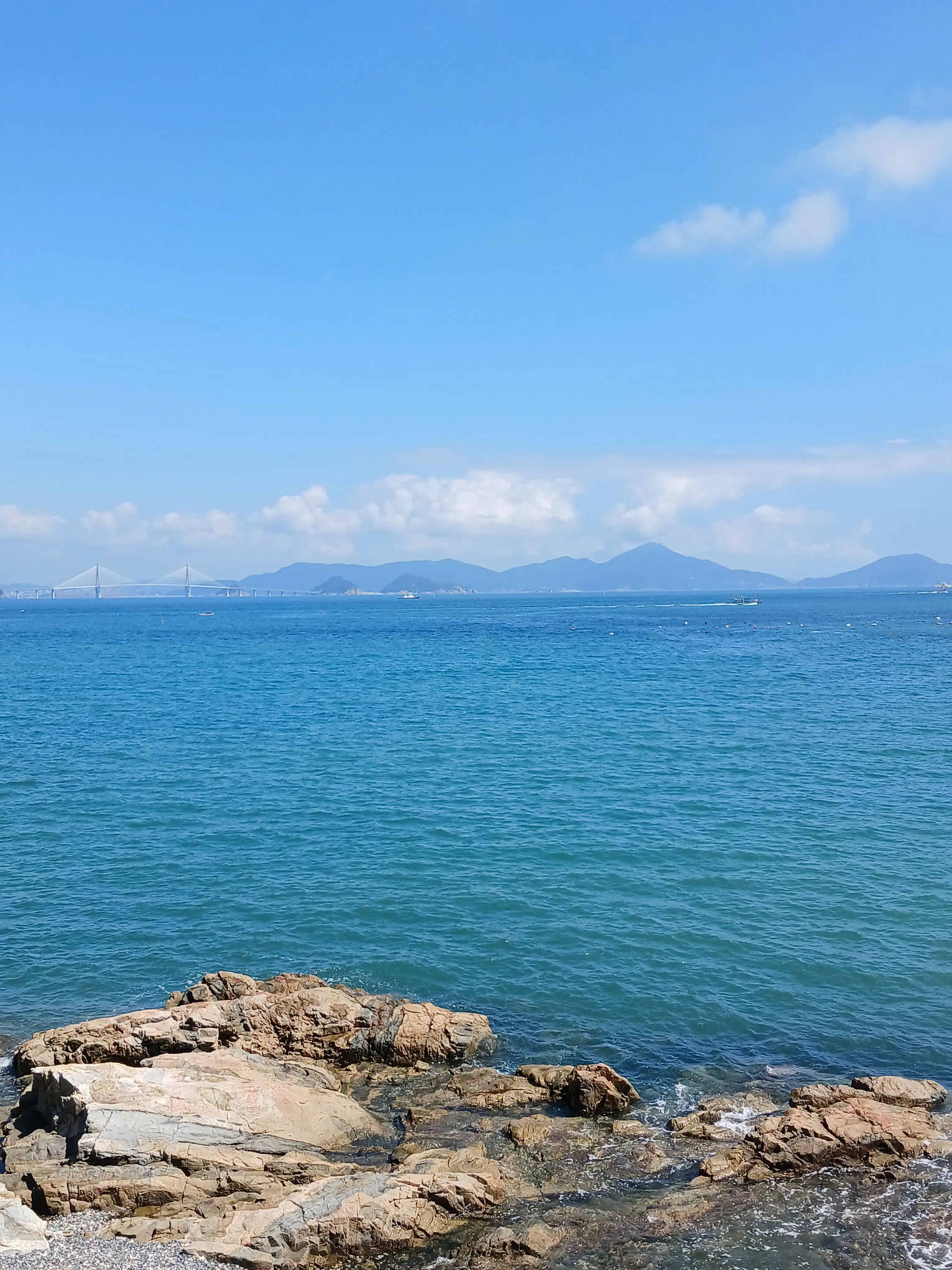 SleazyFlute2772의 댕댕컴퍼니×수학여행×여우