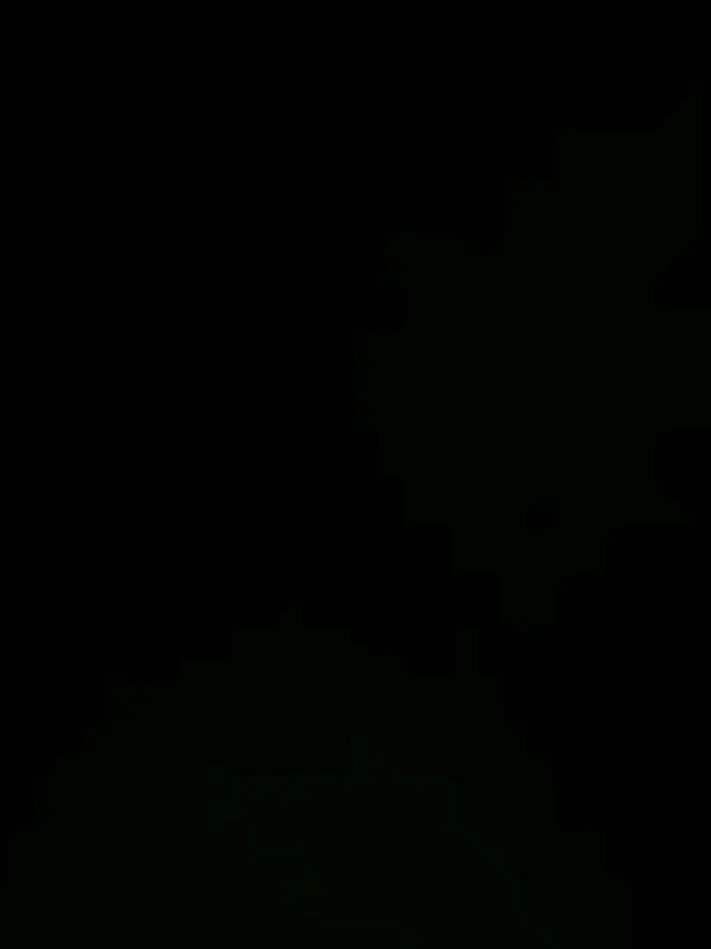 PainedWool6157의 형들