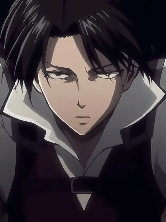 ItchyDice6753의 Levi Ackerman