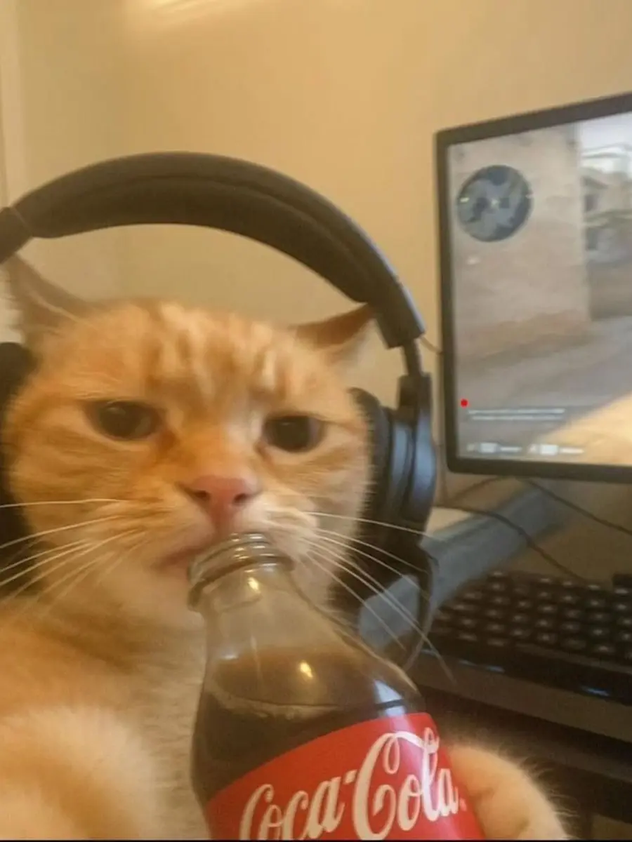 utero의 사이비(개인용)