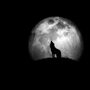 愛か命かを賭けた人狼ゲーム