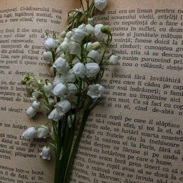 OreoFlav0r의 天干會合