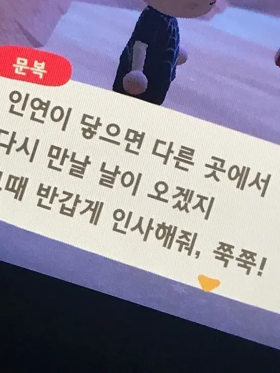 milk_9678600의 내 주인 엔믹스..?(갠용!)