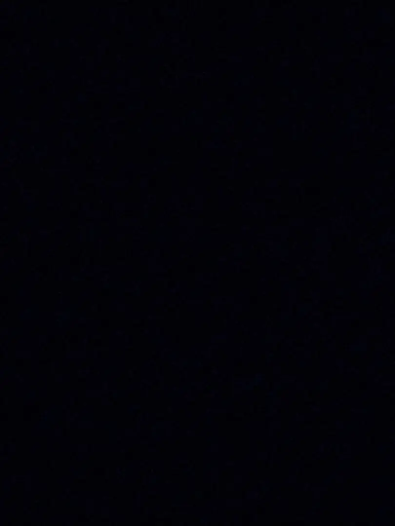 StumpyBark9057의 흔한남매 가족!