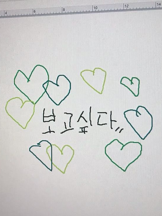 정 이 안 대표 이미지