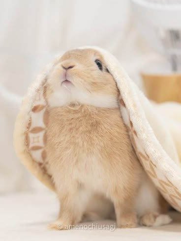 주태한 대표 이미지