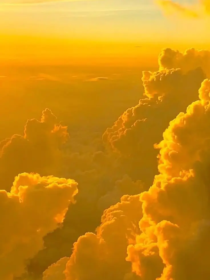 Lol_ch의 리레볼루션 [로미오]