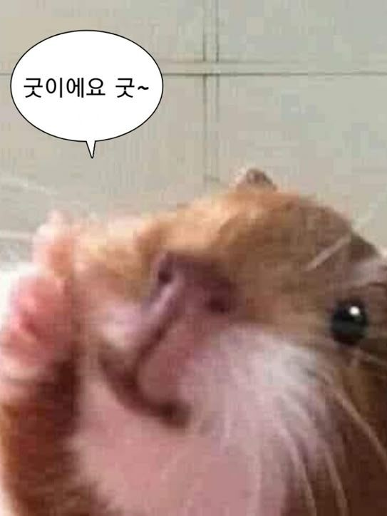 로블록스 유튜버 학교 대표 이미지