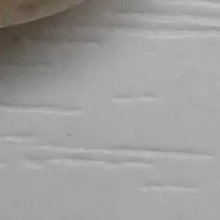 명 재 현