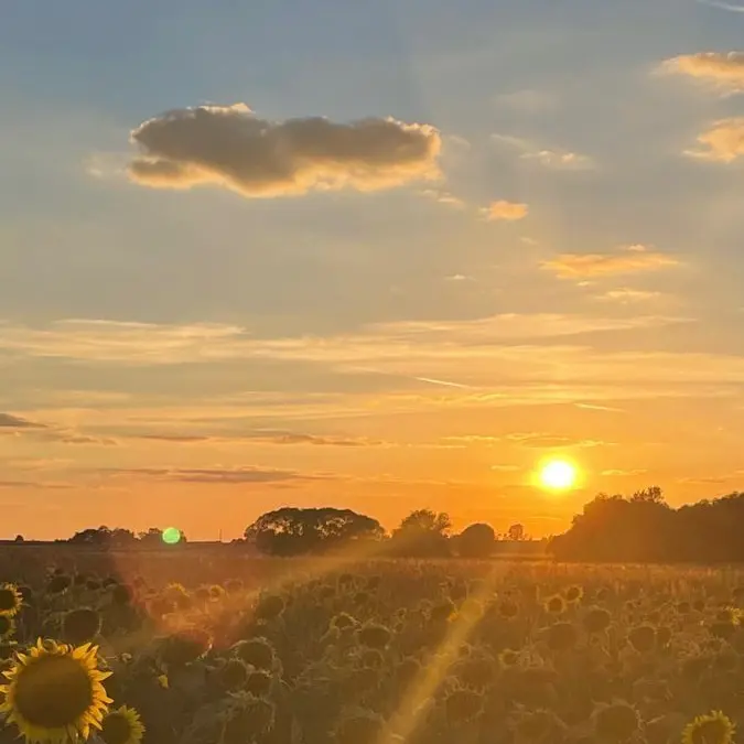 NastyGlobe2630의 환승연애