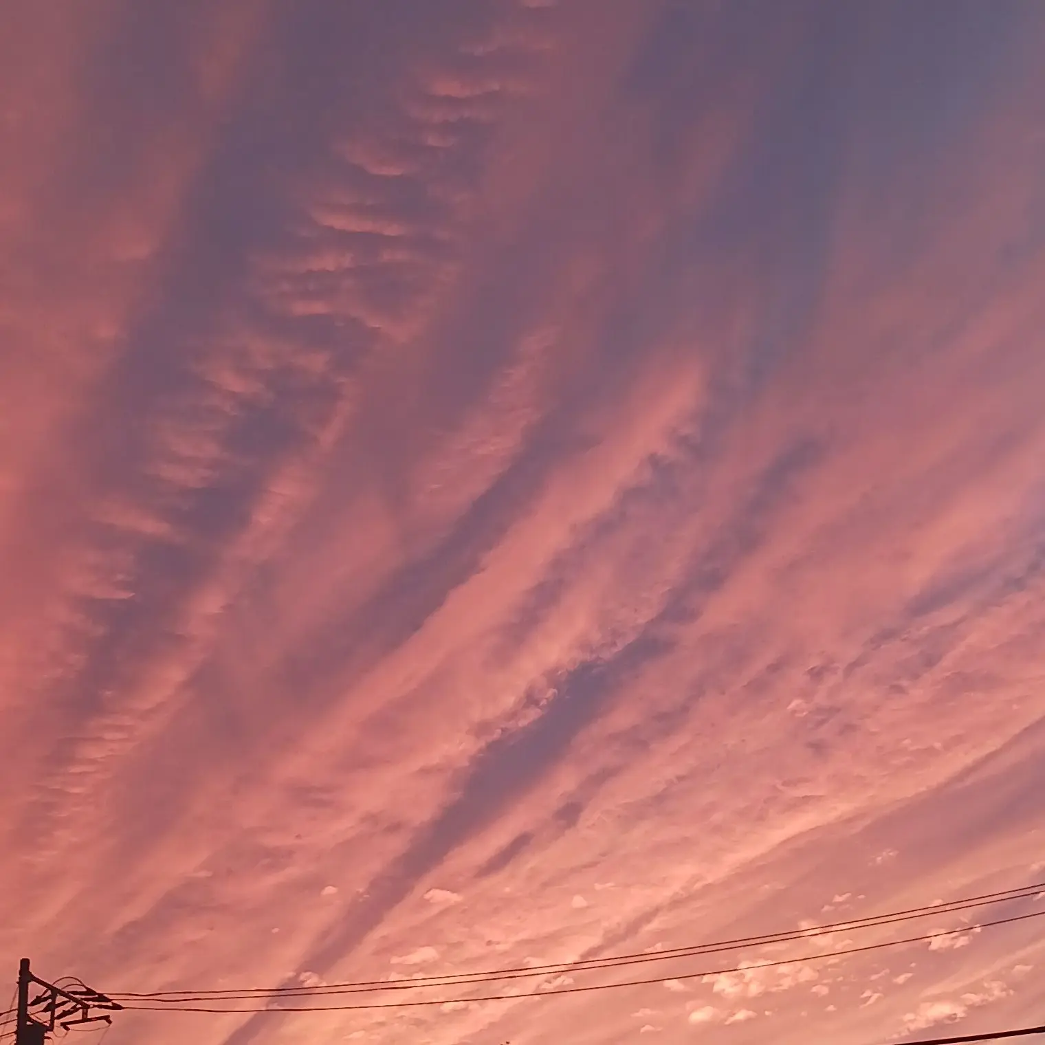 PoorCello9524의 カンヒュ学園　リメイク