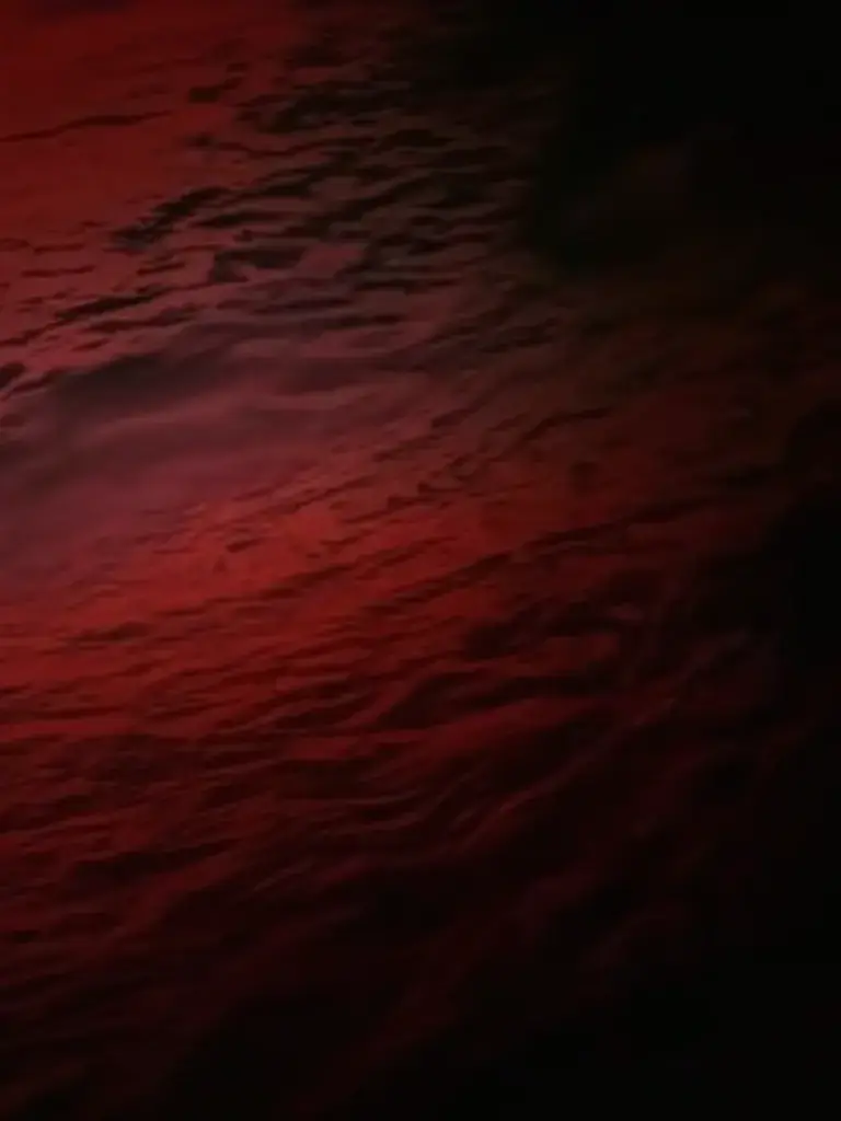 LeaseForte1105의 나이트메어