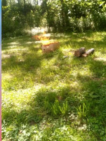 VitalClean2960의 Sonic and the gang (pets)