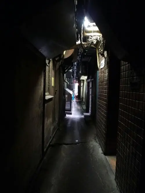 MurkyPage8681의 夜の街中を歩いていたら...？