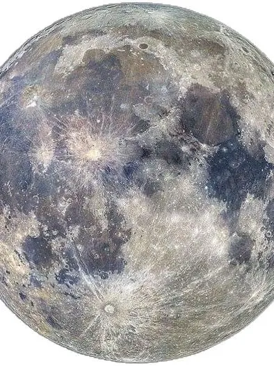 Nekosuke.neco의 保育士💧