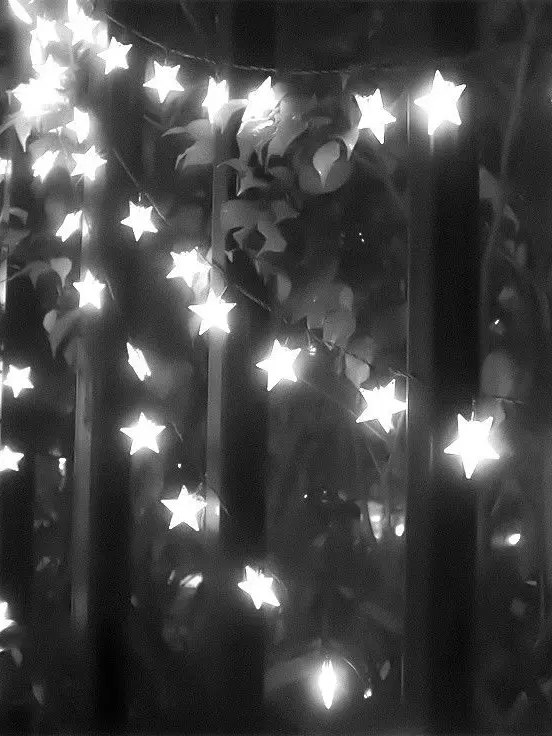 Plain_Yogurt의 "2 hunters"