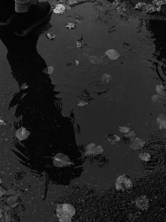 NZNZNZ77의 "Before I know it, rainwater pools at my ankles,"