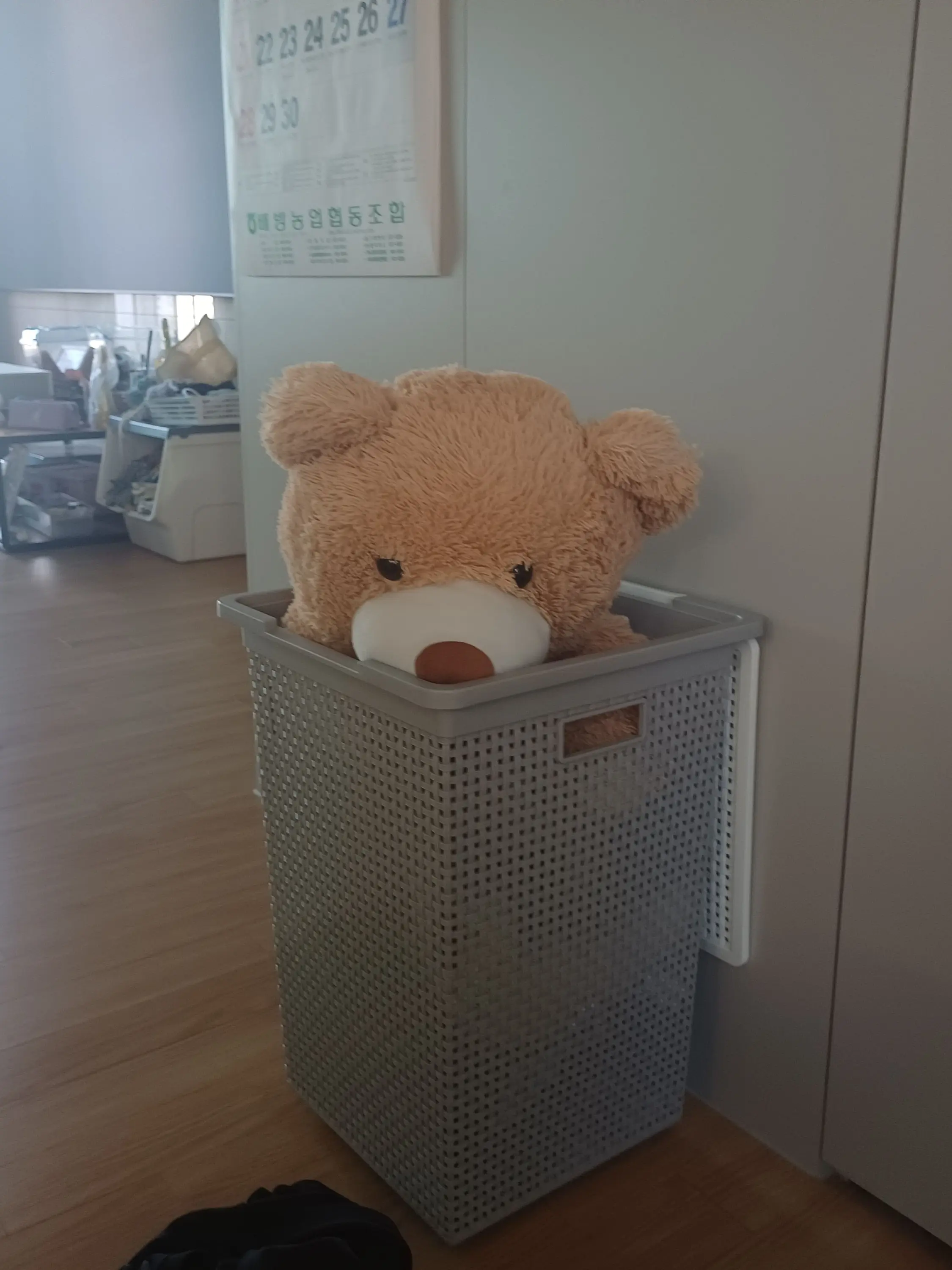 OvalCap3758의 어떤 애가 토를🤮 심지어 배아프다고
