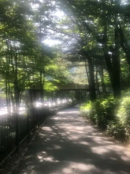 Paradise_001의 패러다이스 밴드부 ver.