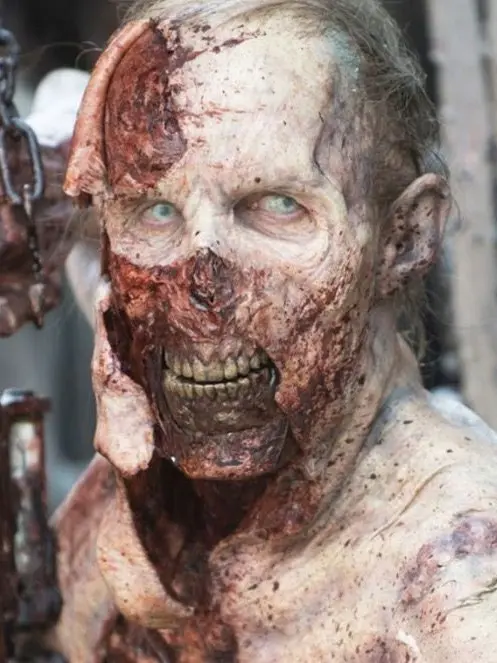 BOO.DidIScareYa의 TWD- Hershels Farm.