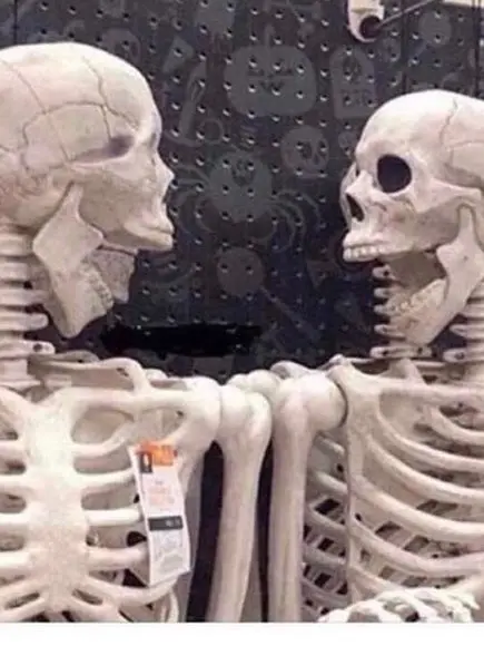 rose136p의 미친 합숙같은 합숙