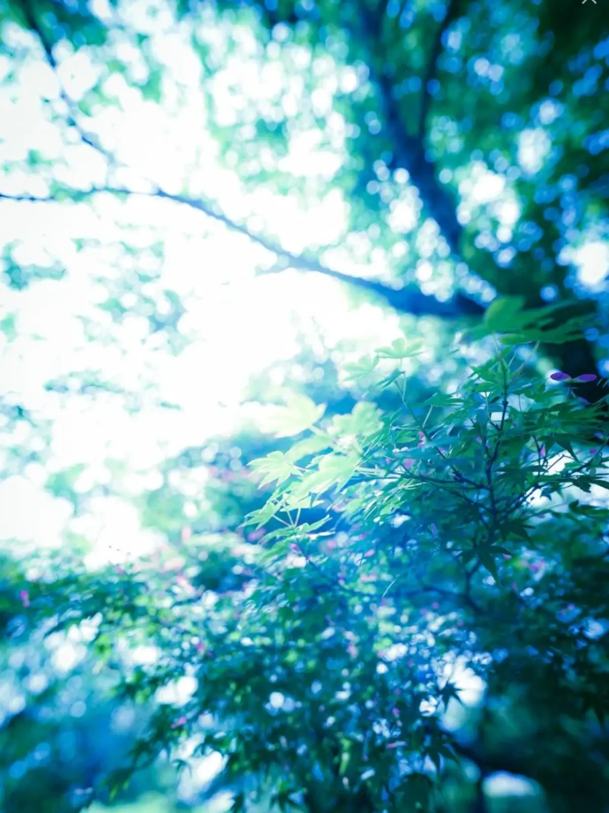 SubtleBeads4813의 自然世界　晴天の空