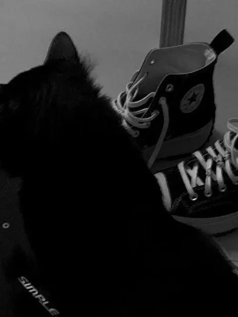 honey.com의 PIXELY