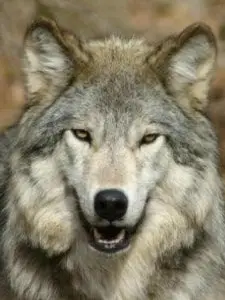 SHD12의 귀멸의 칼날 학교물(귀멸학원)