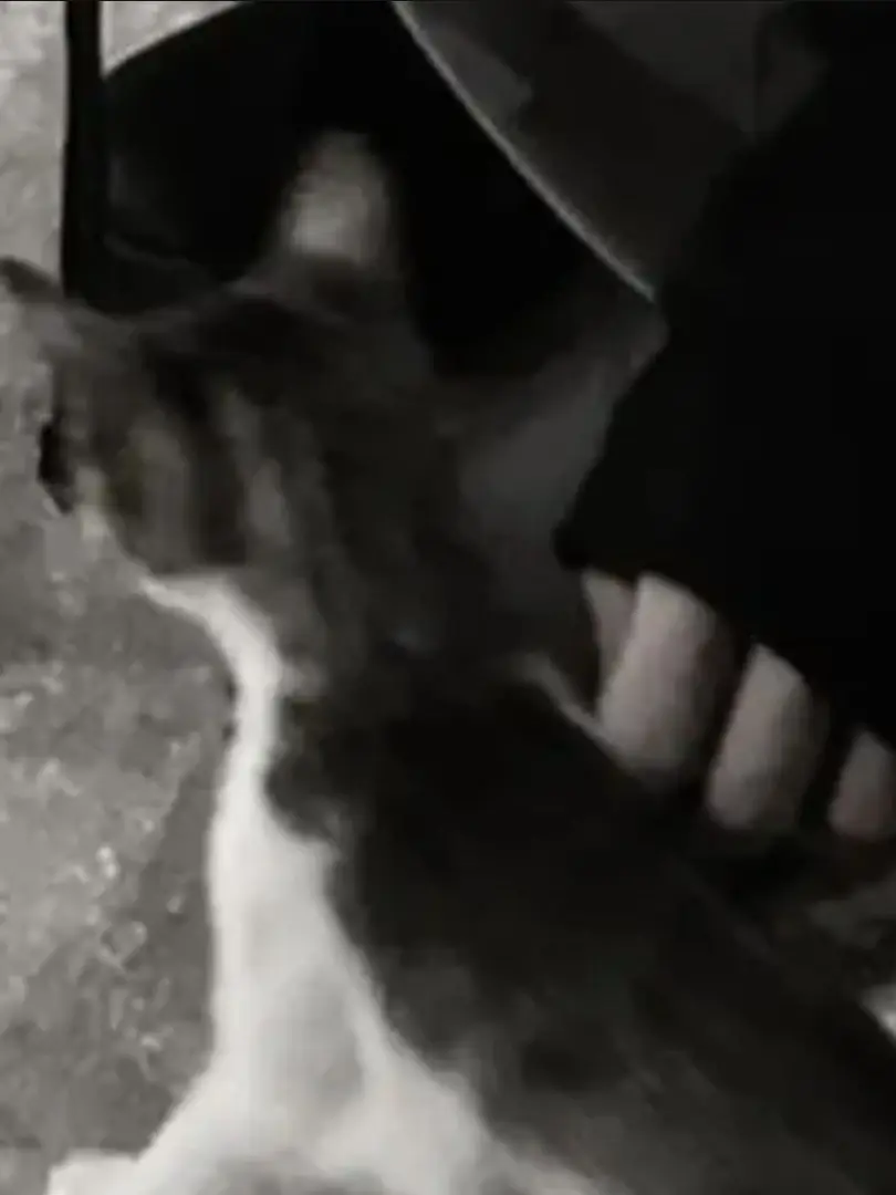 y..sid의 개존잘일남