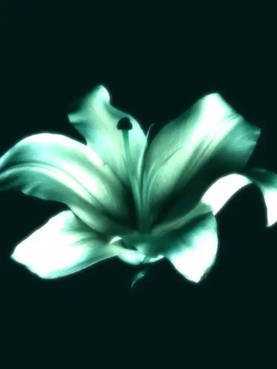 natsukilove722의 예쁜 우리 언니/누나