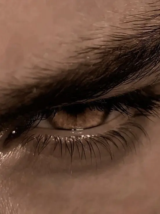 GlassWage4571의 Beast x Princess